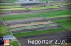 Luftaufnahme Kanton Bern/Grosses Moos - Foto Grosses Moos  6590